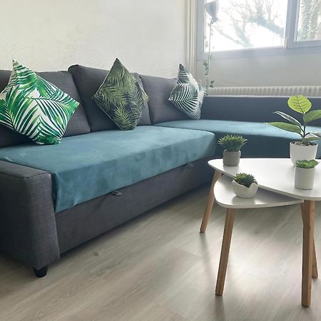 Appartement Le Classik' Parking Prive Mâcon Kültér fotó