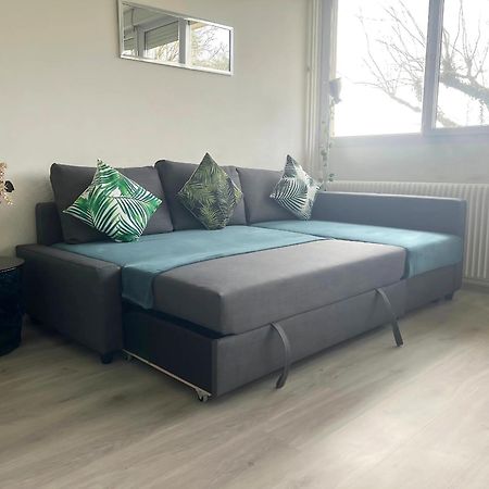 Appartement Le Classik' Parking Prive Mâcon Kültér fotó